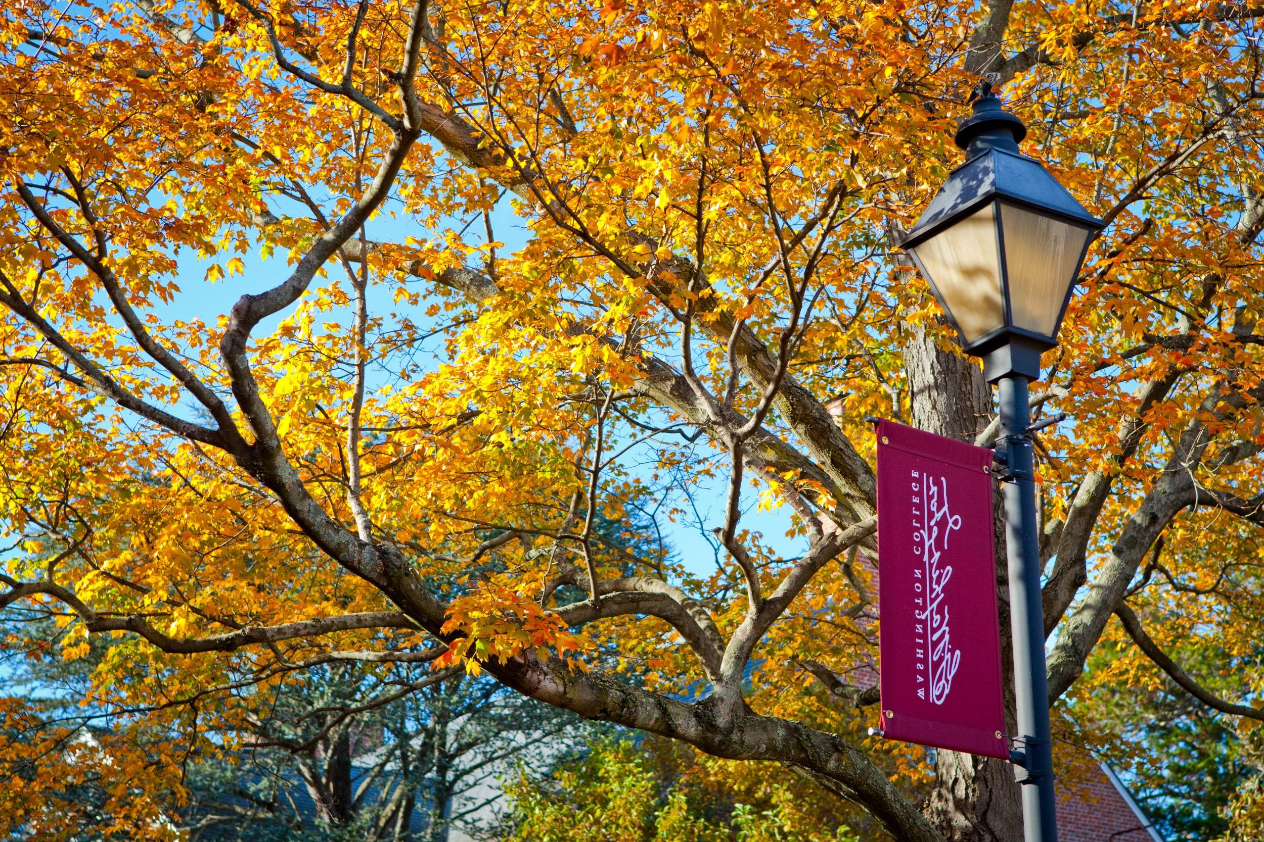 Washington College campus in autumn with orange leaves and a lamppost bearing a Washington College flag.